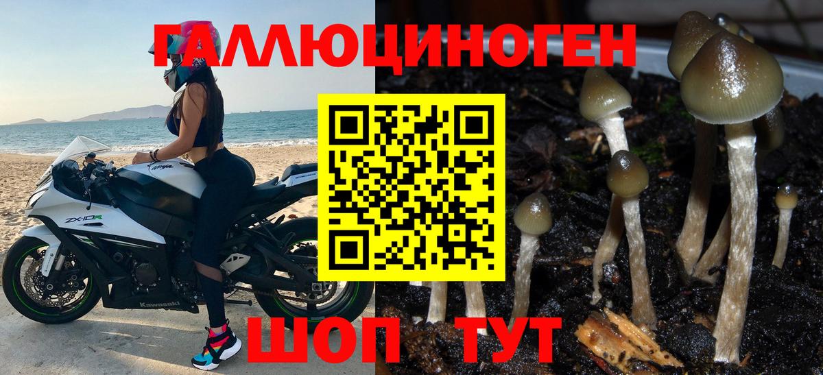 Псилоцибиновые грибы Cubensis  Вход с VPN  сколько стоит  Россошь 